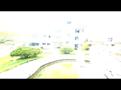 Soffiatore di radici personalizzabile per una maggiore produttività e un risparmio energetico nelle operazioni di produzione