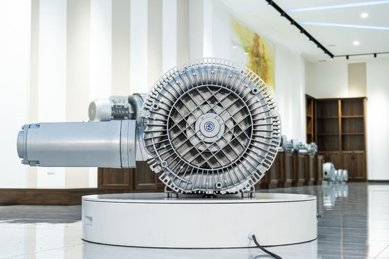 qualità  High-Performance Aerator Blower for Aeration in Industrial Water Treatment Plants fabbrica