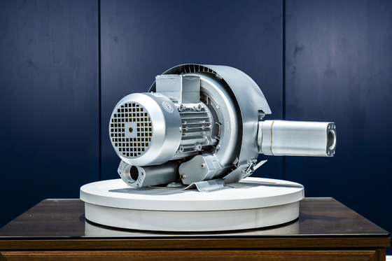 Ventilatore di aerazione delle acque reflue Centrifugo Risparmio di energia Alta velocità Frequenza variabile Silenzioso