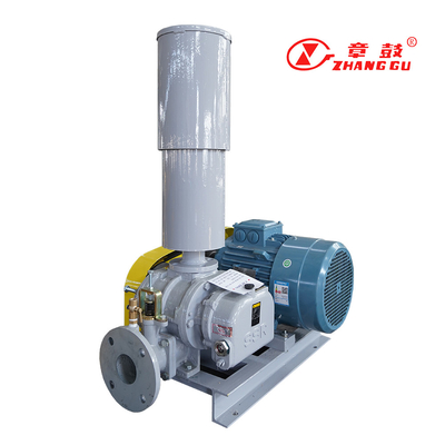 SSR Roots Vacuum Pump Roots Booster Vacuum Pump per processi critici