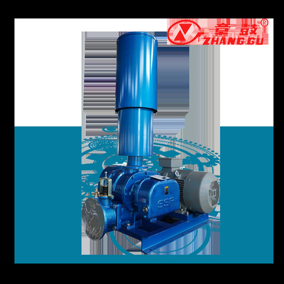 SSR Roots Vacuum Pump Roots Booster Vacuum Pump per processi critici