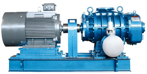 Soppiatto a radici positive a rotazione industriale personalizzabile con potenza nominale da 3 kW a 315 kW